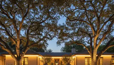 Dramatic tree uplighting design by Chop Chop Landscaping in Pasadena, CA highlighting custom outdoor lighting