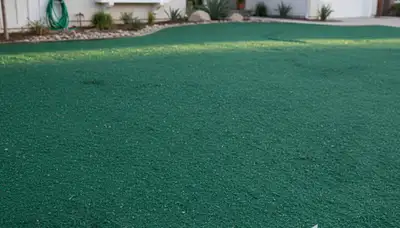 Fresh hydroseeded lawn with even green slurry coverage on prepared soil in Pasadena, CA